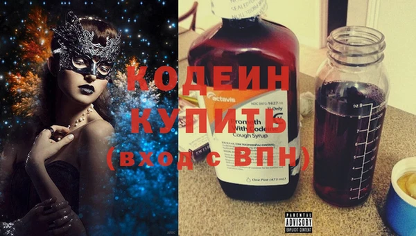 прущие грибы Корсаков