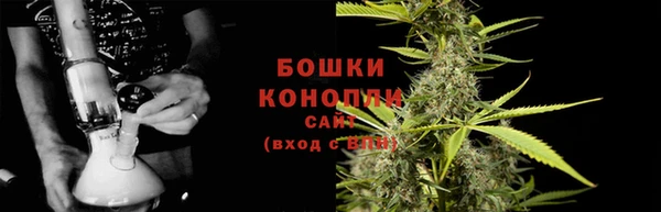 прущие грибы Корсаков