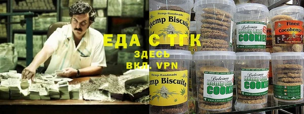 прущие грибы Корсаков