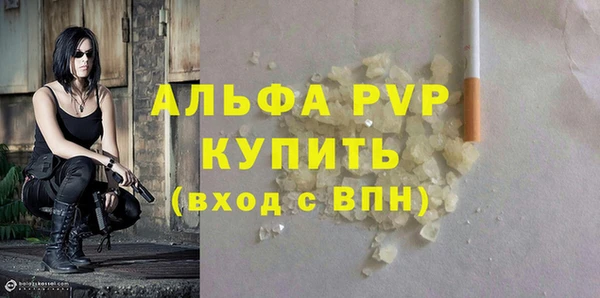 прущие грибы Корсаков