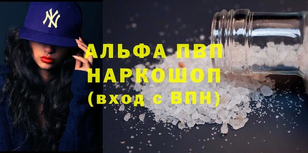 прущие грибы Корсаков