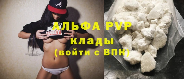 прущие грибы Корсаков